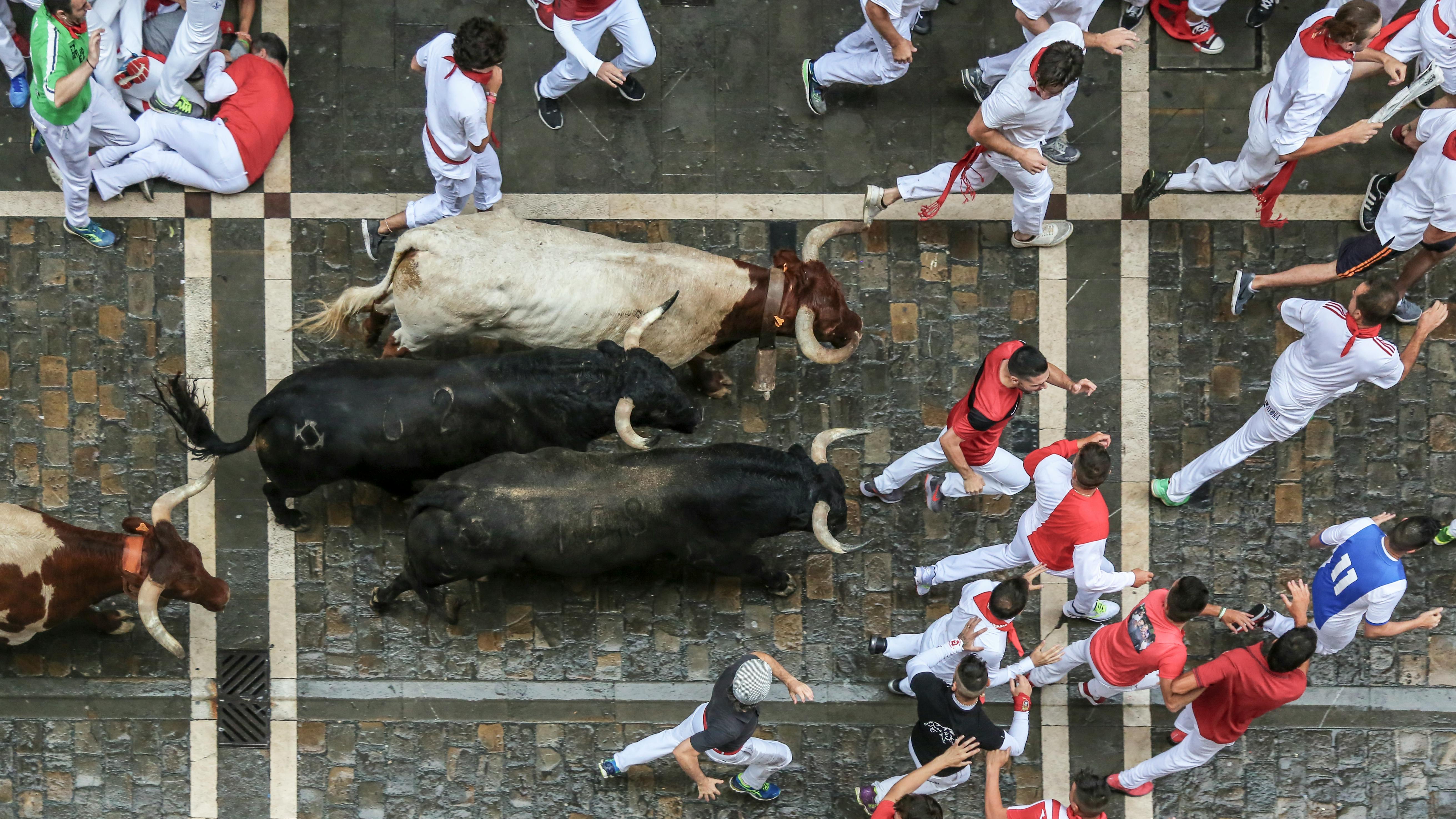 bullshift-1.jpg